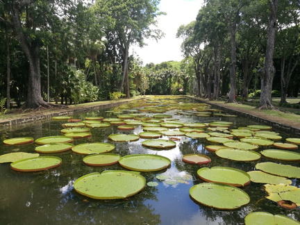 IMG 20200114 132004