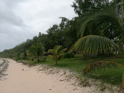 IMG 20200121 141606